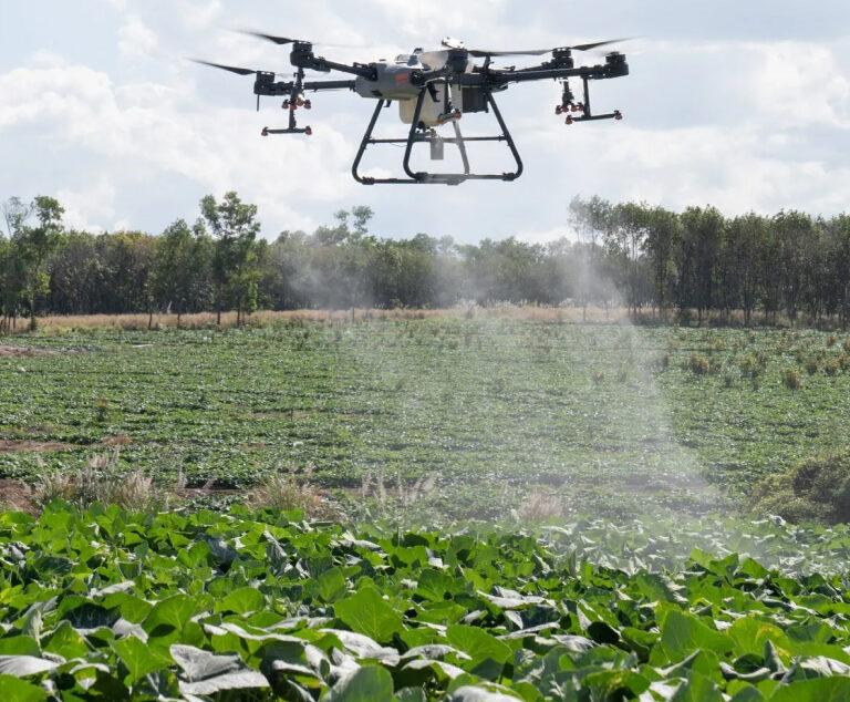 Image of a drone